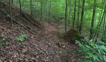 Hunter Ridge Road, Albany, KY 42602