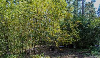 1204 Porcupine Rd, Cascade, ID 83611
