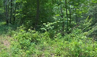 88 Acres Bolden Br, Andrews, NC 28901