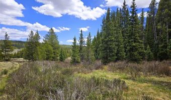 PCS # 10594 Looney Lane lot 0, Alma, CO 80420