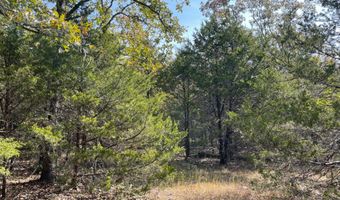 Tract 51 Highway 2, Antlers, OK 74523