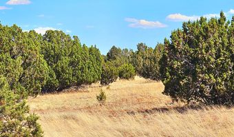 20 CO Rd, Concho, AZ 85924