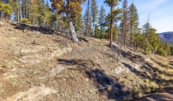 12 W Pergatory Dr, Alpine, AZ 85920