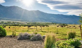 600 Artemesia Ln, Gardnerville, NV 89460
