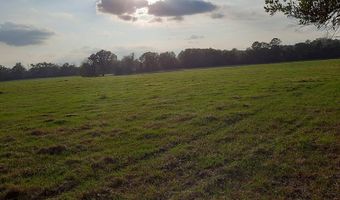 232 344 County Road 344, Bell, FL 32619