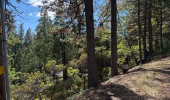 1984 Pine Cone Dr, Arnold, CA 95223