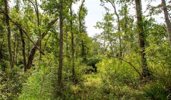 2512 Beulah Church Rd, Alma, GA 31510