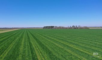 Lot 14 Davis Pond Road, Atmore, AL 36502