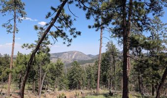 Old Camp Rd, Bellvue, CO 80512