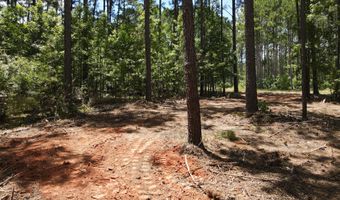 Lot 6 Lighthouse Point, Lincolnton, GA 30817