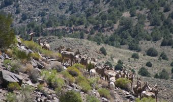 3350 Ike's Canyon Rd, Eureka, NV 89316