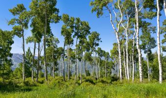 114 Goldenrod, Avon, CO 81620