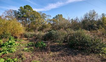 1541 Frank Hall Rd, Bolton, MS 39041