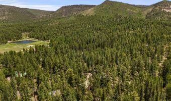 12 CR 2044, Alpine, AZ 85920