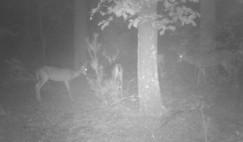 8752 HWY A, Almond, WI 54909