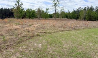 7518 BUCK HEAD Rd, Baxley, GA 31513