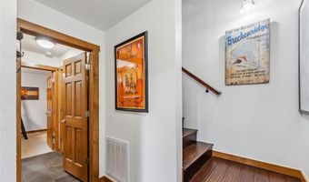 564 WHITE CLOUD Dr, Breckenridge, CO 80424