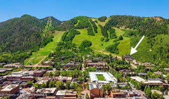 809 S Aspen St 8, Aspen, CO 81611