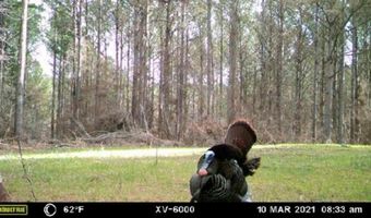 Hwy 9, Bruce, MS 38915