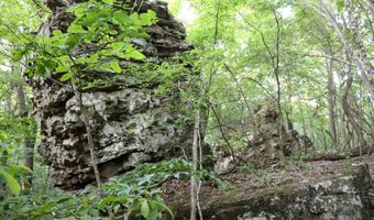 Whiskey Creek Lane, Batesville, AR 72501