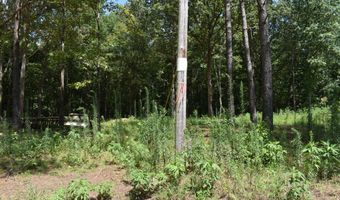 6 Gray Academy Rd Lot 6, Ashland, MS 38603