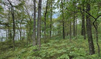 Tract 1 East Bay Road, Atkins, AR 72823