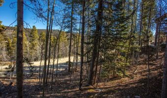 421 N Aspen St, Alma, CO 80420