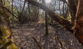 0 Thomas Rd, Altoona, KS 66710