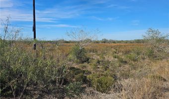 12 County Road 1431 Lot 12, Alice, TX 78384