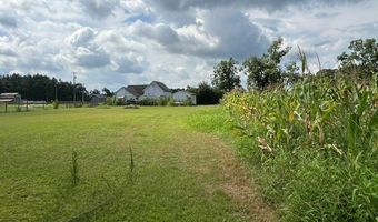 4180 McConnell Bridge Rd, Adel, GA 31620