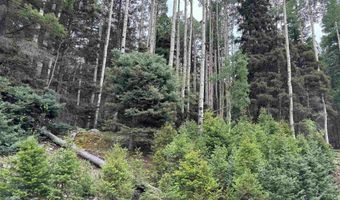 Lot 141 Back Basin Rd, Angel Fire, NM 87710