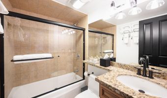 901 E Hyman Ave 4, Aspen, CO 81611