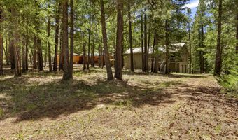 12 CR 2044, Alpine, AZ 85920