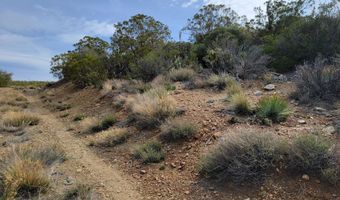 000 Palace Dr, Mountain Center, CA 92561