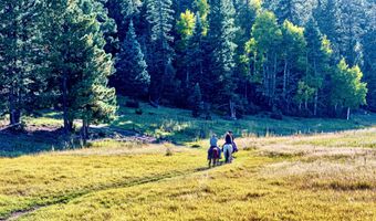 27502 US Hwy 64, Angel Fire, NM 87710