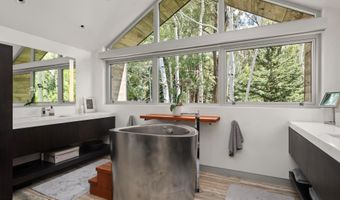 1180 Black Birch Dr, Aspen, CO 81611