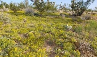 3501 S Wild Bill Rd, Yucca, AZ 86438