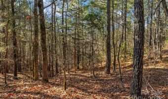 Old Douglass Road unit 3 3, Blackstock, SC 29014