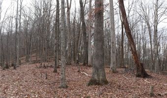 Route 12 Road, Alum Creek, WV 25003