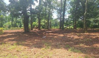 880 Sellers Rd, Baxley, GA 31513