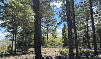 Lots 16 Lot17 Palo Flechado Ridge Road, Angel Fire, NM 87710