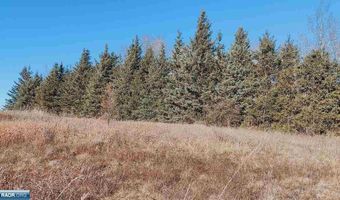 10478 Leander Rd, Angora, MN 55703