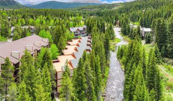 805 Columbine Rd 102, Breckenridge, CO 80424