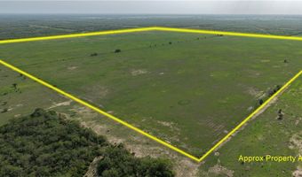 FM 1352, Alice, TX 78332