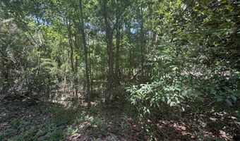 21123 LOOP Rd Lot 1, Andalusia, AL 36421