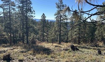 490 Hilltop Dr, Bayfield, CO 81122