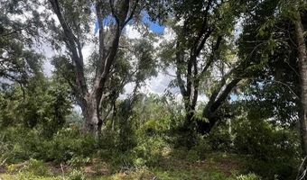 3109 US Hwy 129, Bell, FL 32619