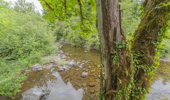 217 MULKEY Ln, Ariel, WA 98603
