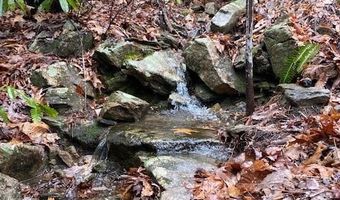Lot 58 Lost Panther Road 58, Brevard, NC 28712