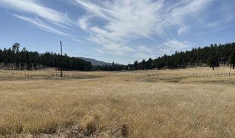 Forest Road 26 lot E, Alpine, AZ 85920